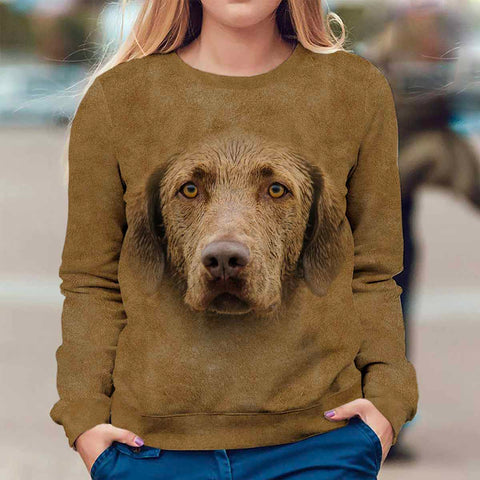 Chesapeake Bay Retriever - Face Hair - Premium Sweater