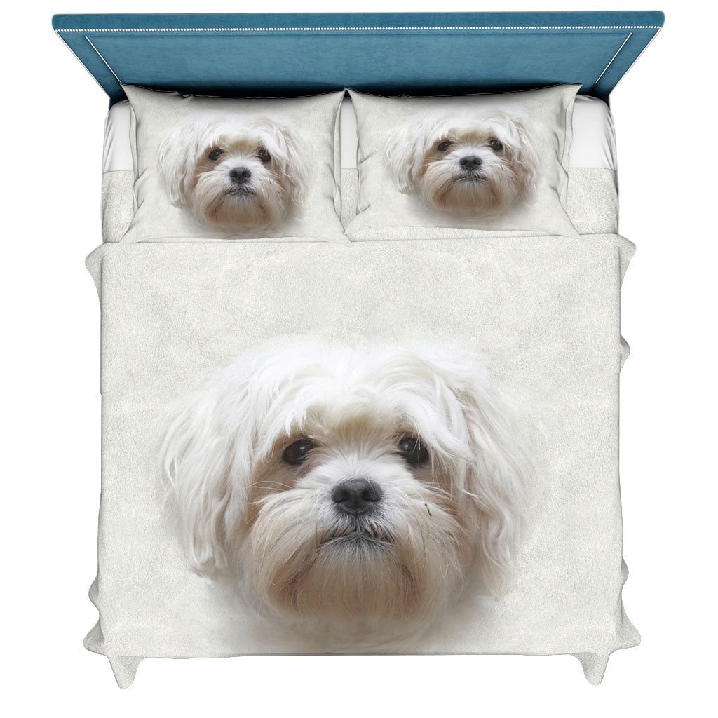 Havanese Face Hair Sweater Sweater