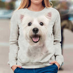 Maltese - Face Hair - Premium Sweater