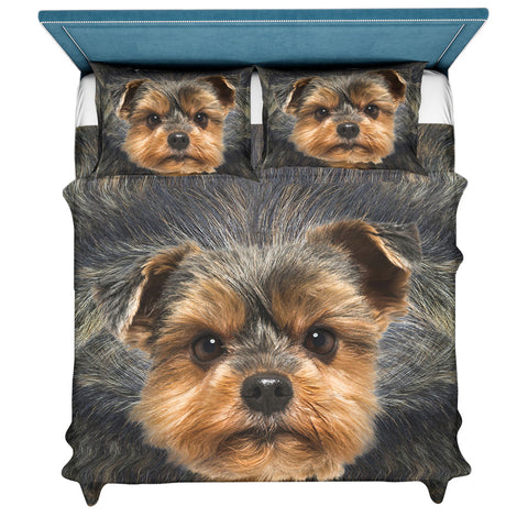 Yorkshire Terrier 1 Face Hair Sweater Sweater