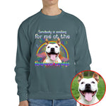 Somebody Is Waiting For Me At The Rainbow Bridge Pet Photo Memorial Shirt