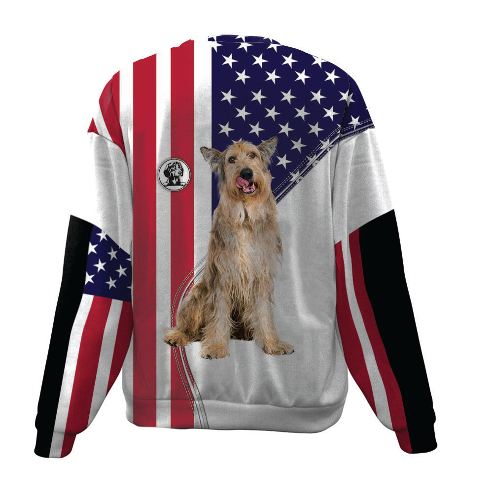 Berger Picard-USA Flag-Premium Sweater