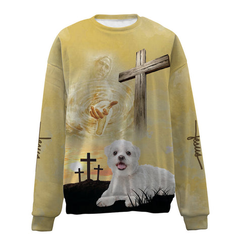 Maltese-Jesus-Premium Sweater