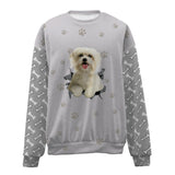 Maltese-Paw And Pond-Premium Sweater