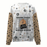 Pomeranian-Personal Stalker-Premium Sweater