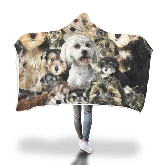 Morkie Hooded Blanket