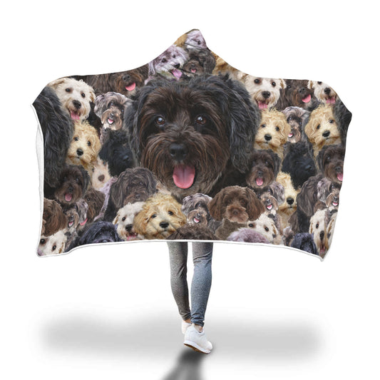 Schnoodle Hooded Blanket