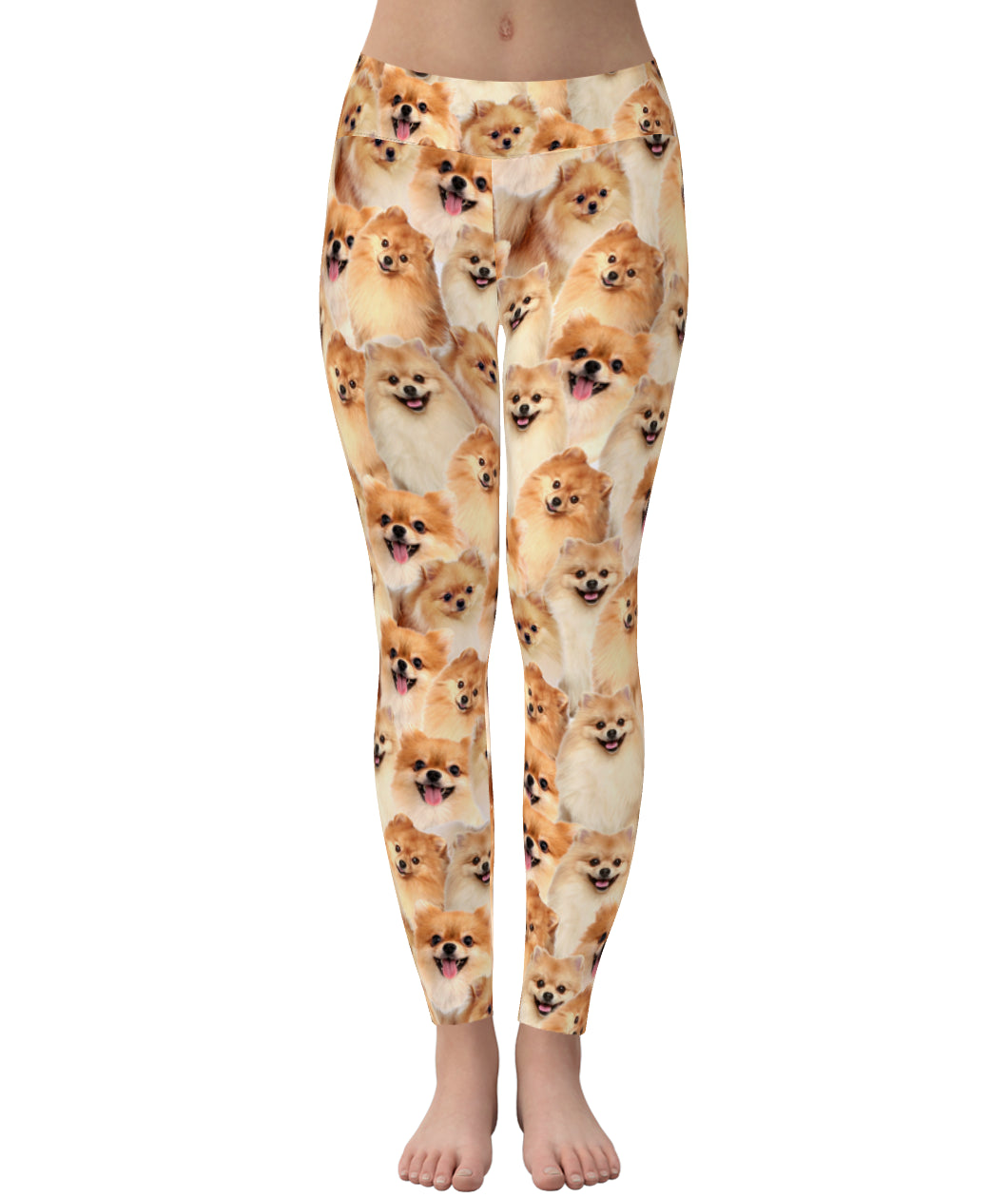 Pomeranian Full Face Leggings