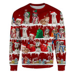 Aidi - Snow Christmas - Premium Sweater