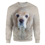 American Cocker Spaniel - Face Hair - Premium Sweater