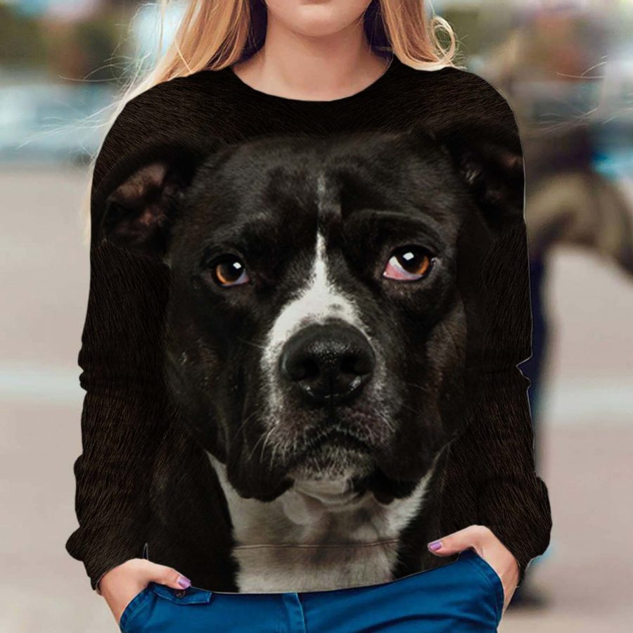 American Pit Bull Terrier - Face Hair - Premium Sweater