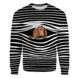 American Water Spaniel - Stripe - Premium Sweater