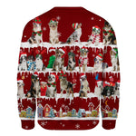 Australian Shepherd - Snow Christmas - Premium Sweater