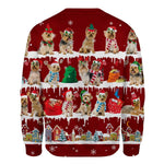 Australian Silky Terrier - Snow Christmas - Premium Sweater