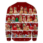 Australian Terrier - Snow Christmas - Premium Sweater