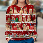 Australian Terrier - Snow Christmas - Premium Sweater