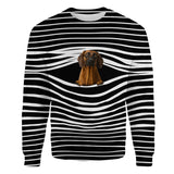 Bavarian Mountain Hound - Stripe - Premium Sweater