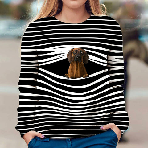 Bavarian Mountain Hound - Stripe - Premium Sweater