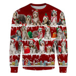 Bearded Collie - Snow Christmas - Premium Sweater