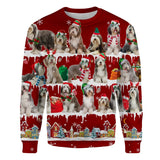 Bearded Collie - Snow Christmas - Premium Sweater