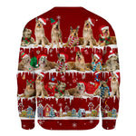 Berger Picard - Snow Christmas - Premium Sweater