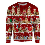 Berger Picard - Snow Christmas - Premium Sweater