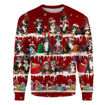 Bernese Mountain Dog - Snow Christmas - Premium Sweater