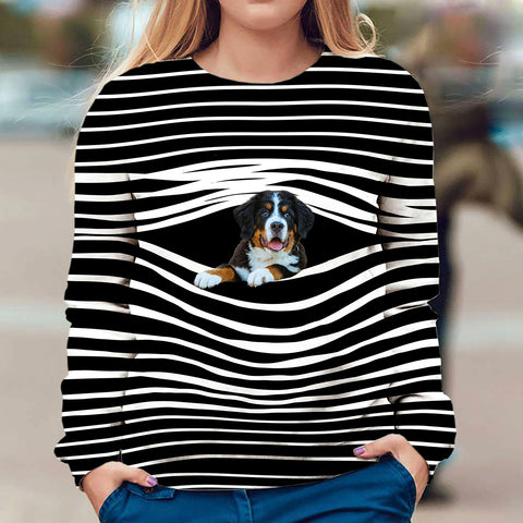 Bernese Mountain - Stripe - Premium Sweater