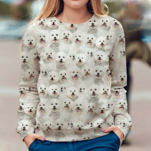 Bichon Frise - Full Face - Premium Sweater