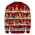 Boerboel - Snow Christmas - Premium Sweater