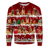 Boerboel - Snow Christmas - Premium Sweater