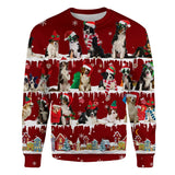 Border Collie - Snow Christmas - Premium Sweater