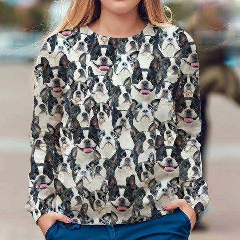 Boston Terrier - Full Face - Premium Sweater