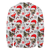 Border Terrier - Xmas Decor - Premium Sweater