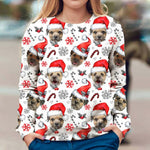 Border Terrier - Xmas Decor - Premium Sweater