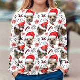 Border Terrier - Xmas Decor - Premium Sweater