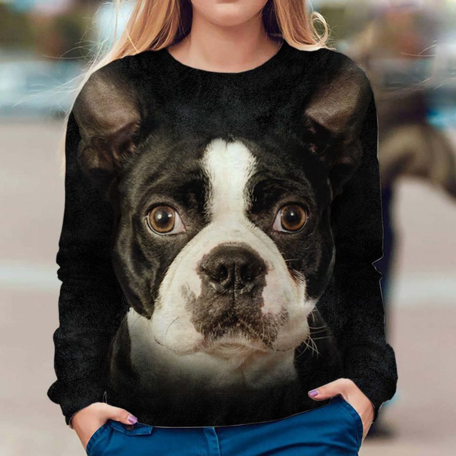 Boston Terrier - Face Hair - Premium Sweater