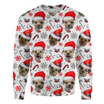 Border Terrier - Xmas Decor - Premium Sweater