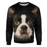 Boston Terrier - Face Hair - Premium Sweater