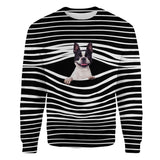 Boston Terrier - Stripe - Premium Sweater