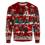 Bouvier des Flandres - Snow Christmas - Premium Sweater