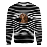 Boykin Spaniel - Stripe - Premium Sweater