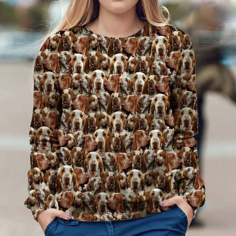 Bracco Italiano - Full Face - Premium Sweater