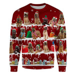 Briard - Snow Christmas - Premium Sweater