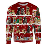 Cairn Terrier - Snow Christmas - Premium Sweater