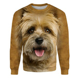 Cairn Terrier - Face Hair - Premium Sweater