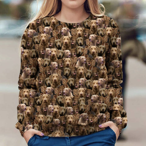 Chesapeake Bay Retriever - Full Face - Premium Sweater