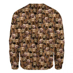 Chesapeake Bay Retriever - Full Face - Premium Sweater