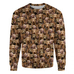 Chesapeake Bay Retriever - Full Face - Premium Sweater