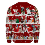 Chinese Crested Dog - Snow Christmas - Premium Sweater